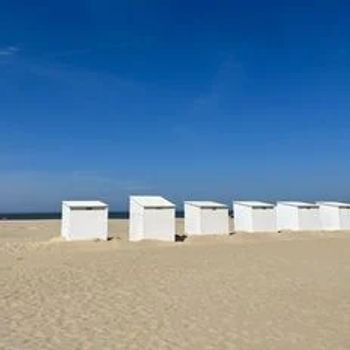 Vakantie met hond in België