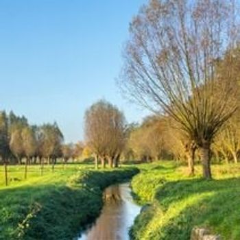 Alle vakantieparken in Limburg