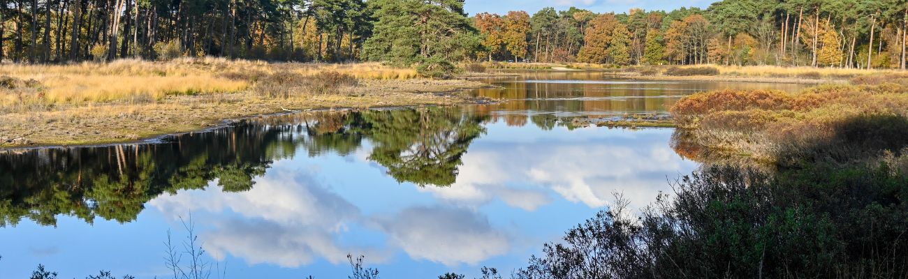 Vakantie in Noord-Brabant