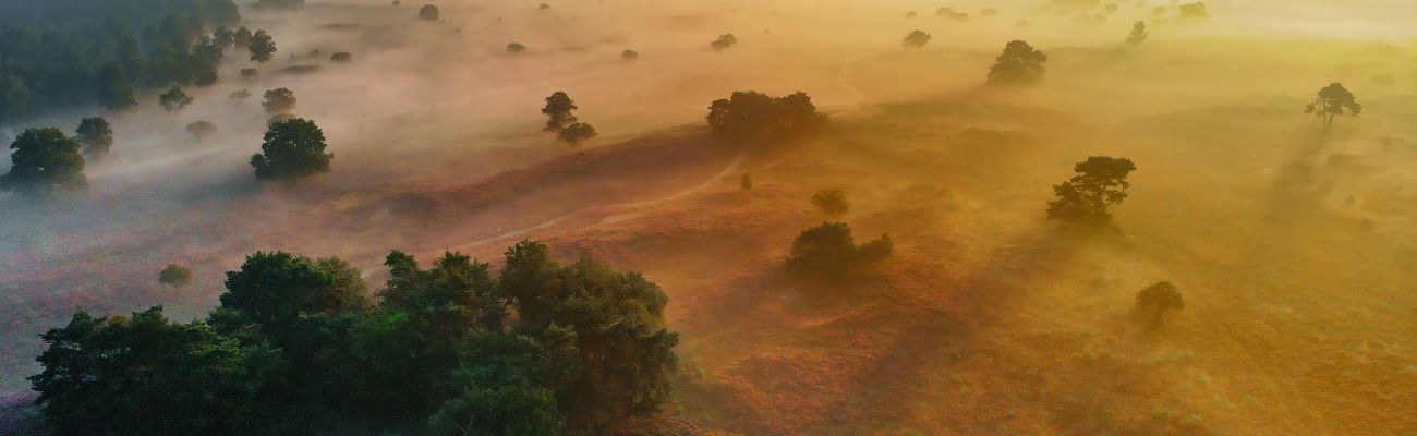 Vakantie Veluwe