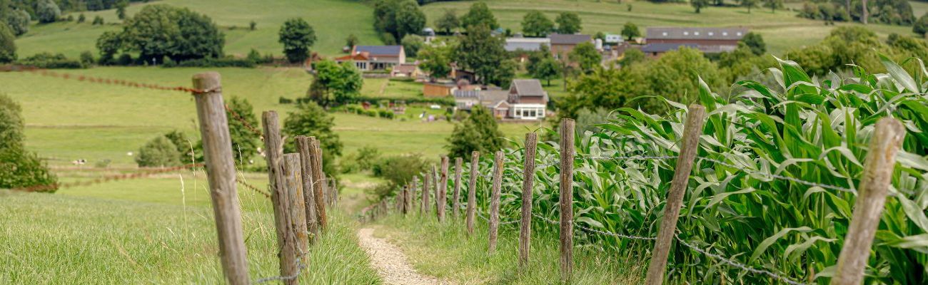 Top BungalowSpecials deals